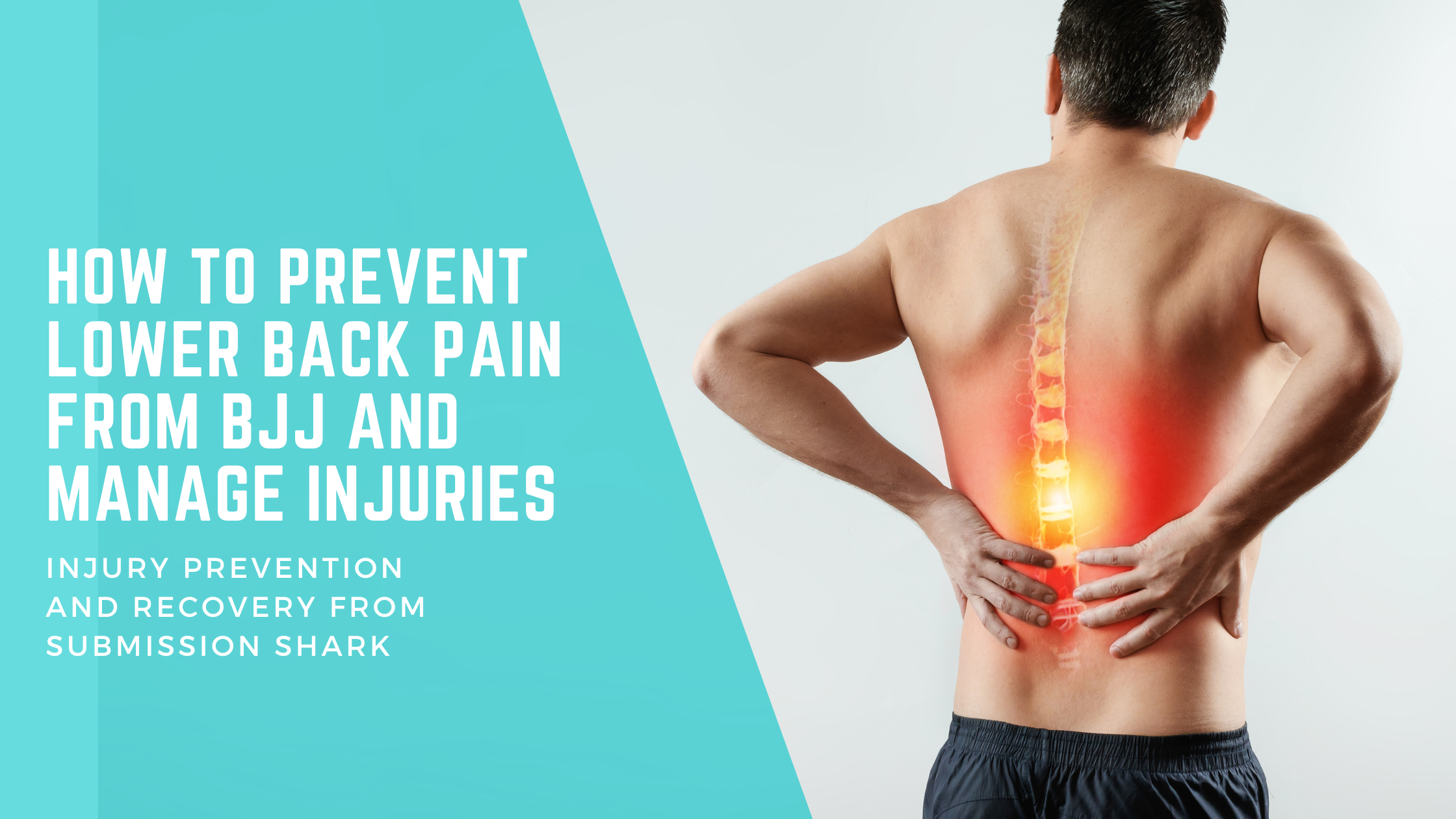 How To Prevent Lower Back Pain From BJJ And Manage Injuries how-to-prevent-lower-back-pain-from-bjj-and-manage-injuries