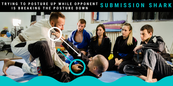 The Importance of Posture In BJJ & Martial Arts