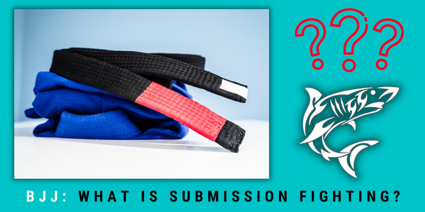 Brazilian Jiu-Jitsu: What Is Submission Fighting?